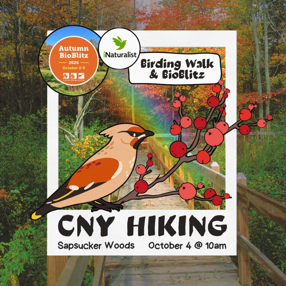 🌈 Birding Walk & BioBlitz at Sapsucker Woods! 10/4 @ 10AM
