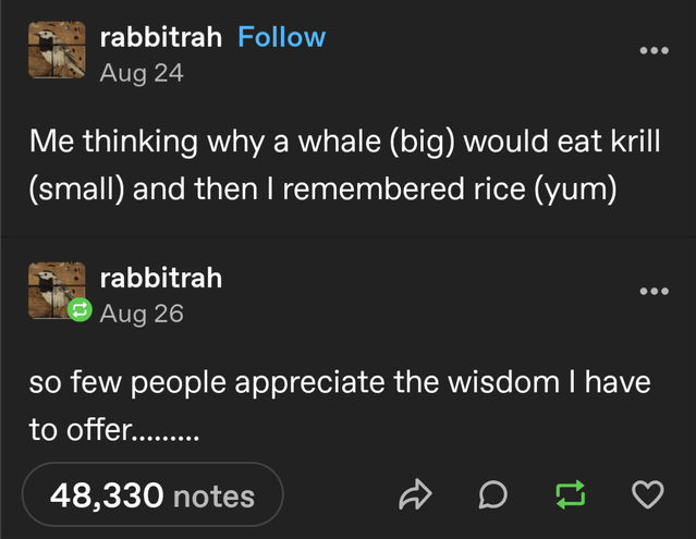 Tumblr post from rabbitrah: My thinking why a whal (big) would eat krill (small) and then I remembered rice (yum) // so few people appreciate the wisdom I have to offer........