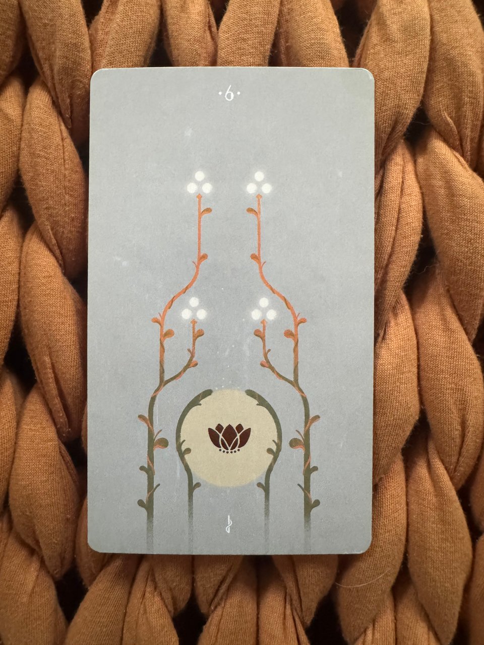 A tarot card with a gray background features a stylized illustration of branches (wands) with white berries at their tips and a circular floral motif in the center. The number six is printed at the top of the card.