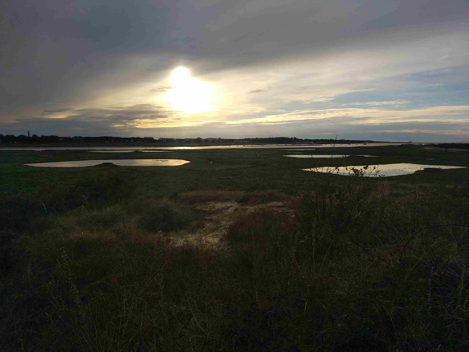 Newsletter de DÉFENSE DES MILIEUX AQUATIQUES Décembre 2025