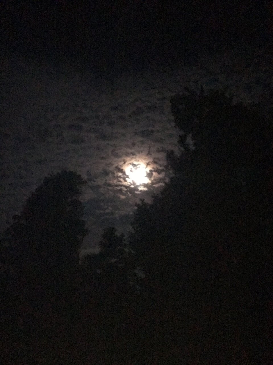 A moon partially covered by clouds