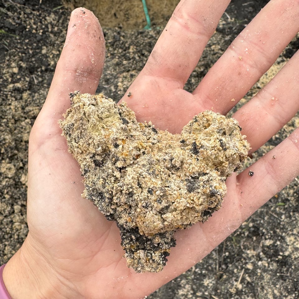 A heart-shaped chunk of soil I found last week. The soil is mottled with colors of dark brown, black, white, and orange.