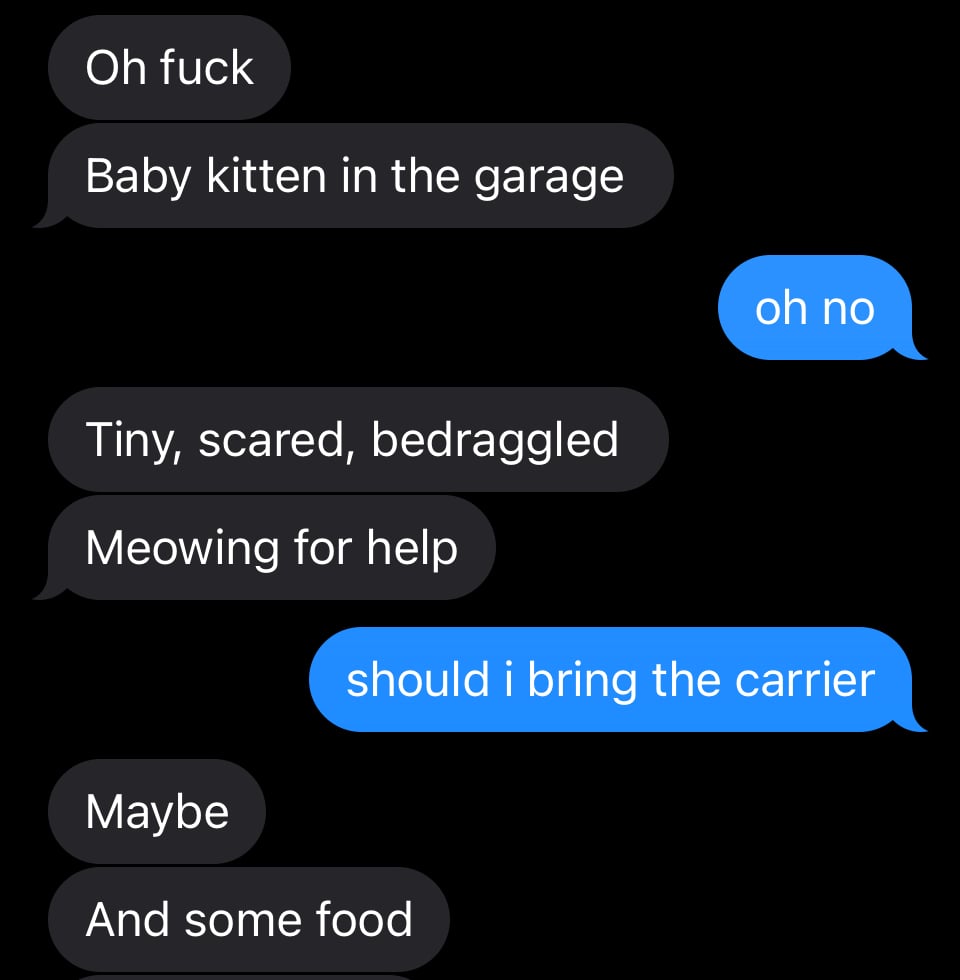 screenshot of texts. husband: oh fuck. baby kitten in the garage." me: "oh no." him: tiny, scared, bedraggled. meowing for help." me: "should i bring the carrier?" him: maybe. and some food."