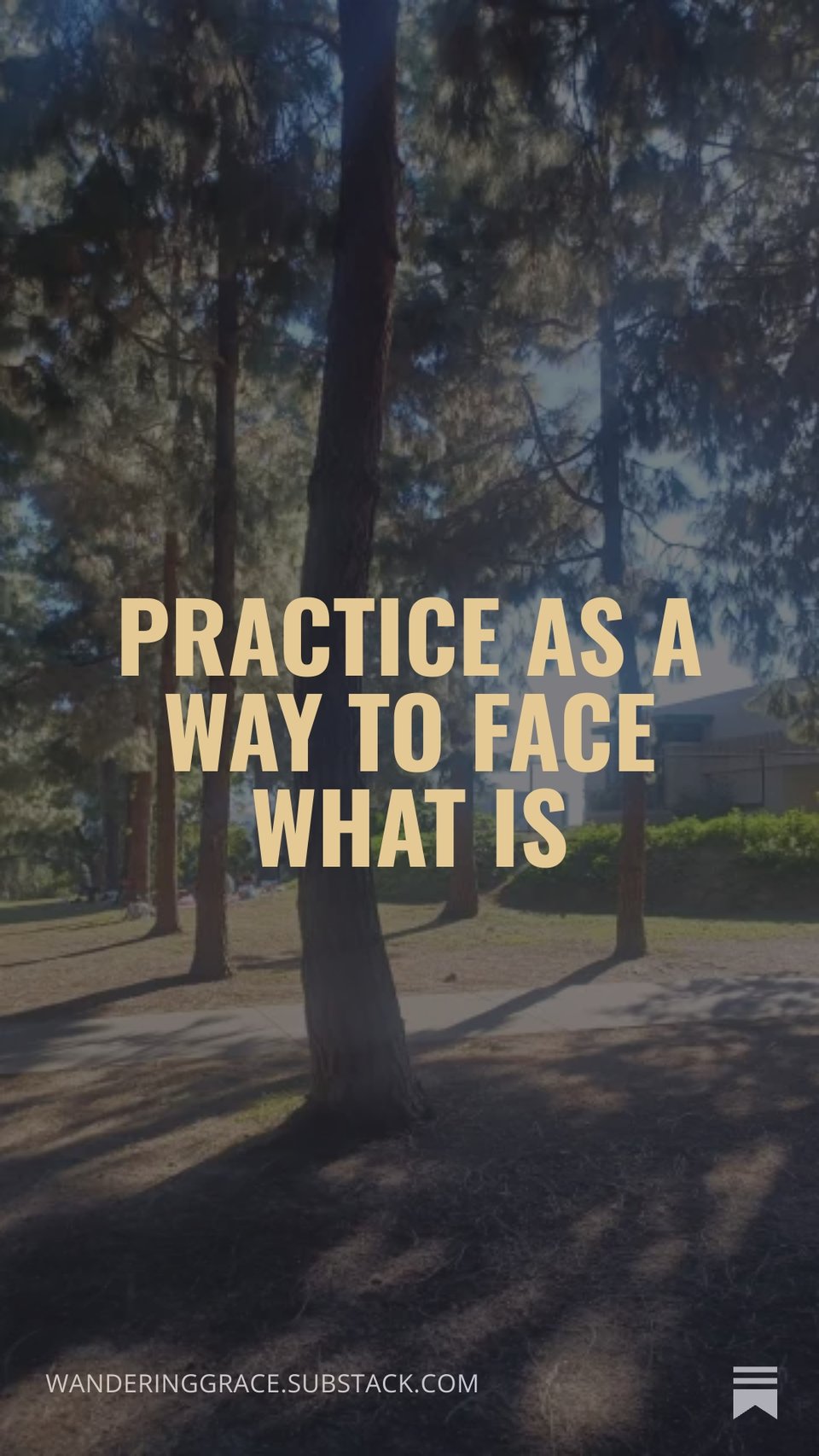"practice as a way to face what is" type overlaid over darkened photo of pine trees. wanderinggrace.substack.com linked at the bottom