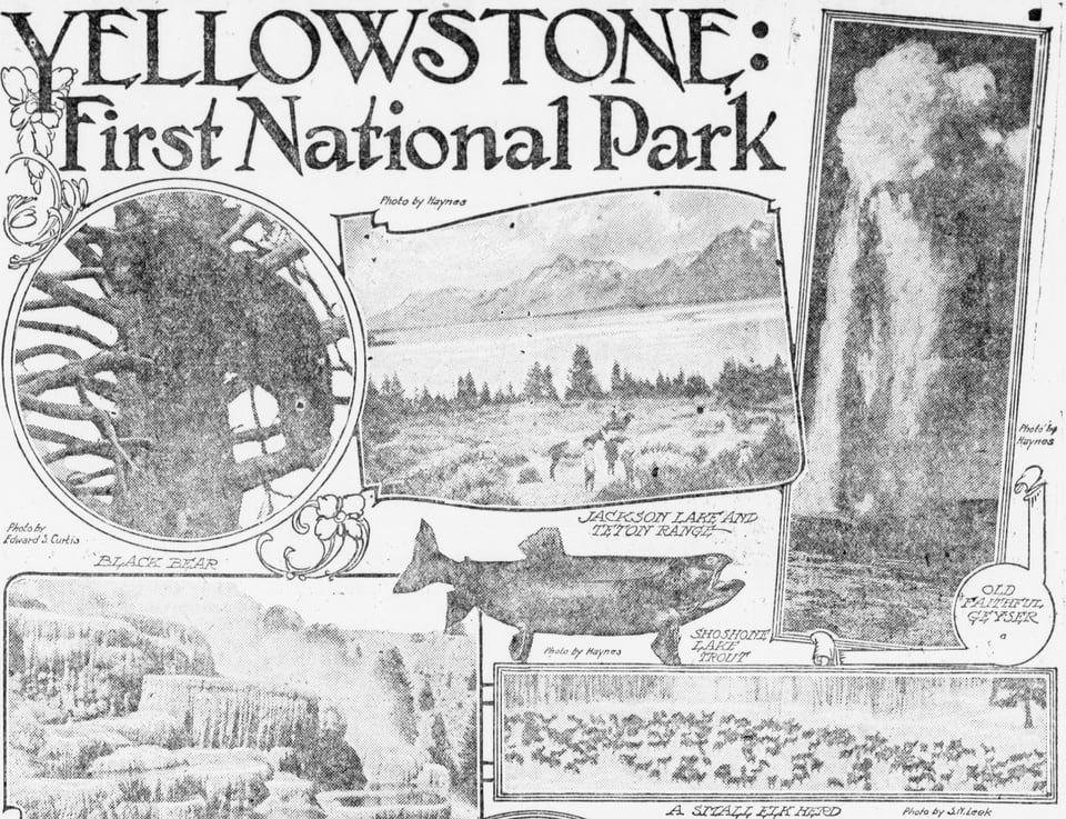 newspaper advertisement on Yellowstone as the first national park, featuring fishes, animal herds, geysers, and landscapes.