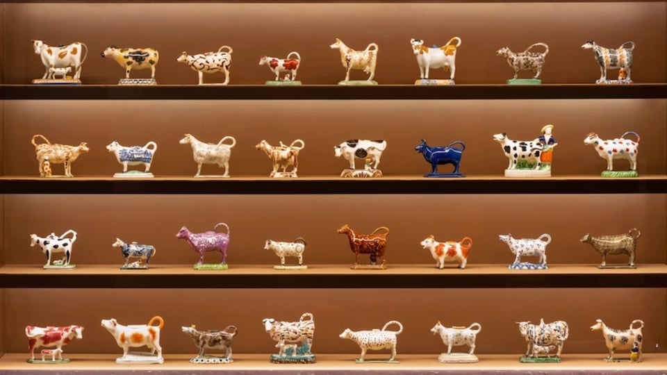 A display case of four shelves containing examples of 18th century cow creamers, small jugs in the form of a cow used to serve milk or cream and reflecting the fasion for fresh, liquid milk