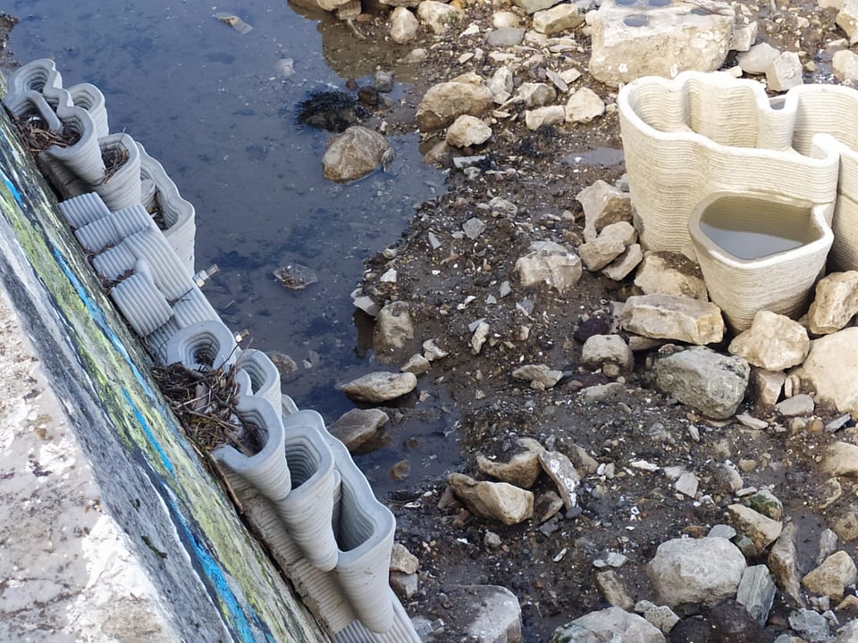 De structures  sensées fixer la vie marine dans l'estuaire de l'Adour (ici vues à marée basse).