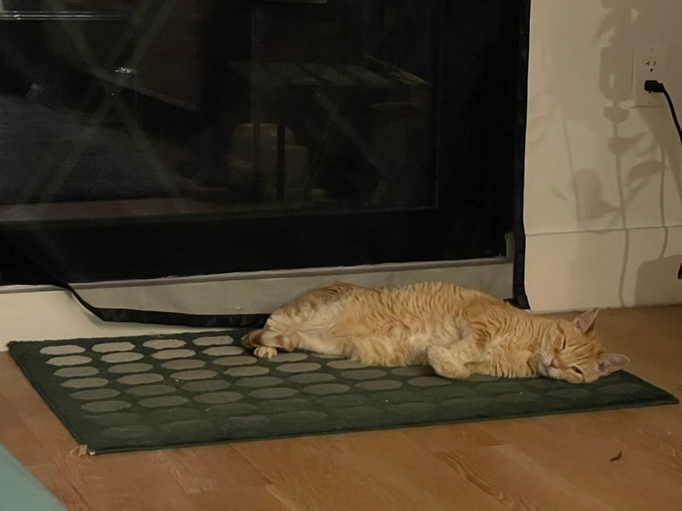 An orange tabby cat is laying sideways on a green mat with his eyes slightly open and his little paws crossed. Sleepy!