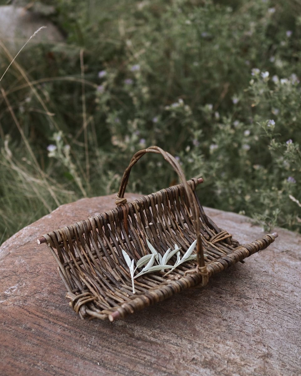 tiny-trug.jpg