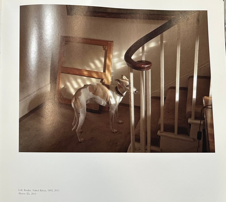 Photo of a page from An Artist's Progress, showing a white & tan whippet standing at the bottom of a flight of stairs