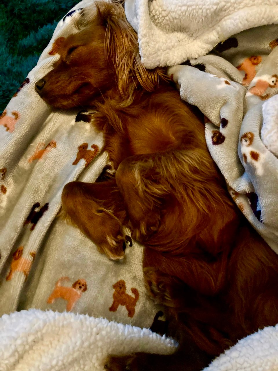 Radio being incredibly cute.
