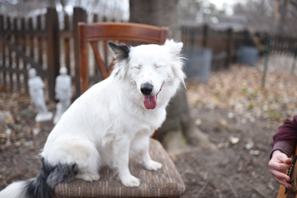 Thank you for Subscribing at Rewind Book Fair!