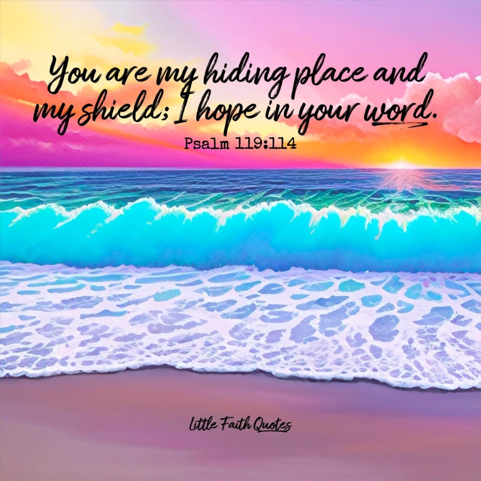 "You are my hiding place and my shield; I hope in your word." ~Psalm 119:114. The sun sets in a beautiful hot pink, orange, and yellow sky. Blue and teal waves crash on the beach. Image by: @Little Faith Quotes.