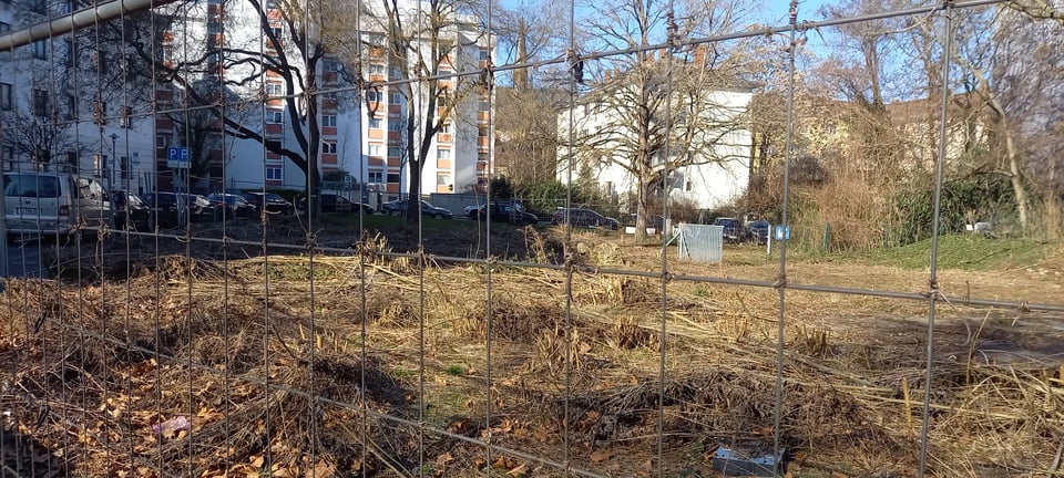 photograph of an empty lot in my area. It's still winter, so right now it's completely barren and full of dead and dry plants.