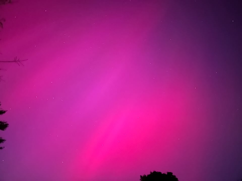 hot pink and magenta sky with some stars in the background and trees at the edge of the shot