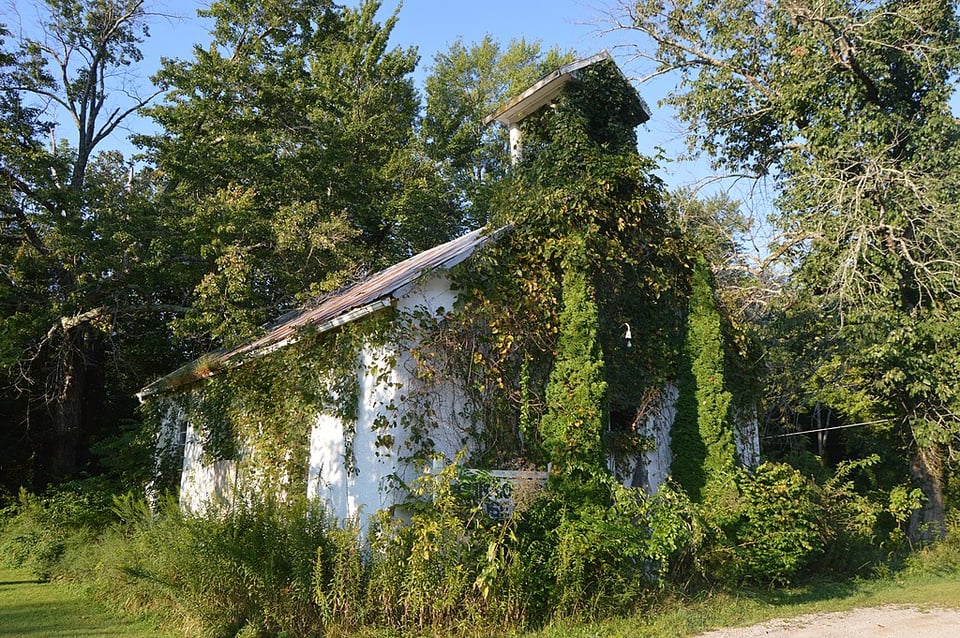 Image of an abandoned church in the woods, it has leaves coming out of every window and the front is entirely overgrown with foliage.