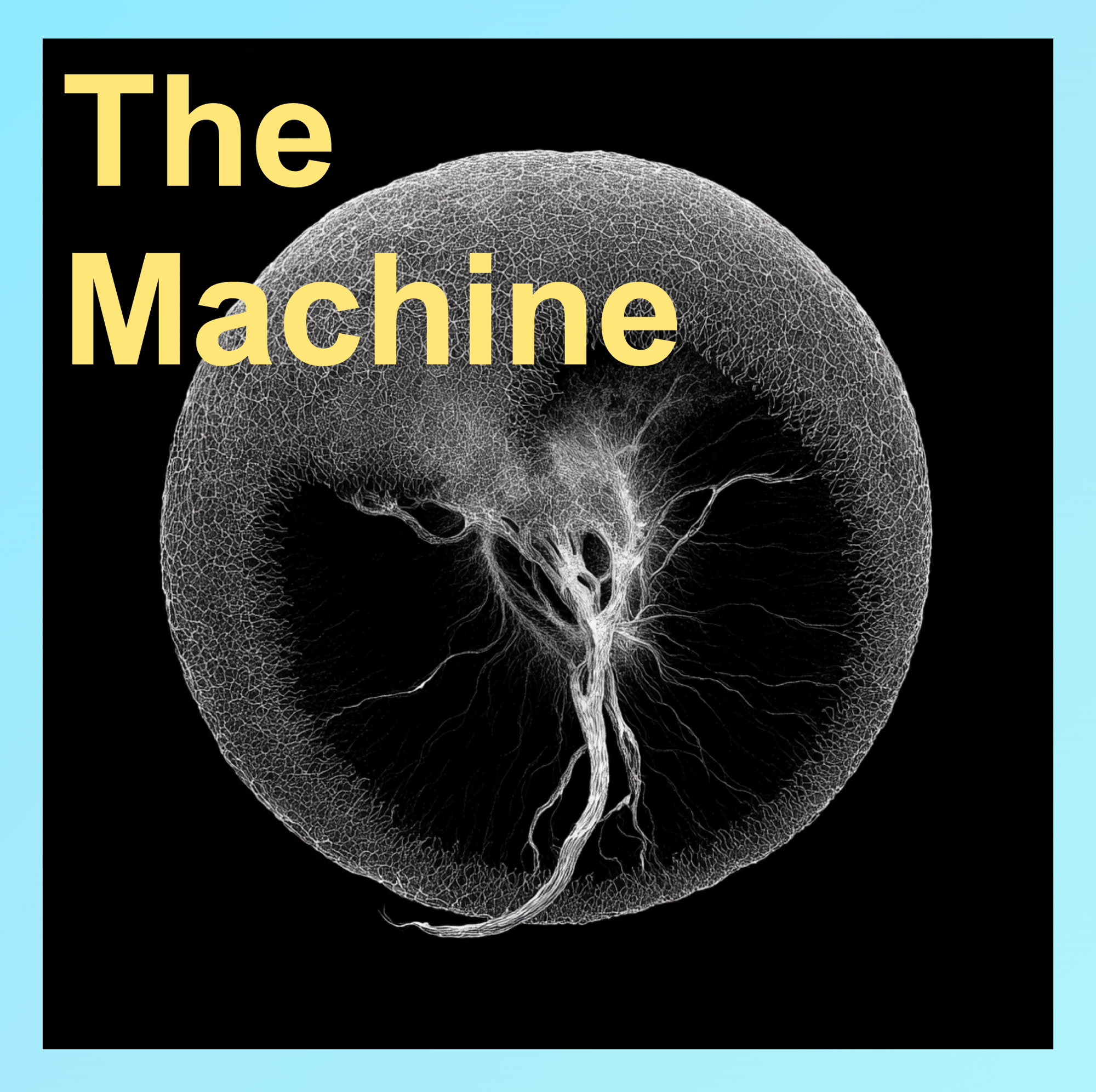 The Machine
