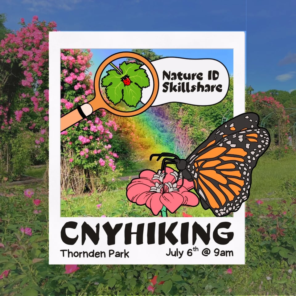 CNY Hiking Nature ID Skillshare Hike at Thornden Park, July 6th at 9am