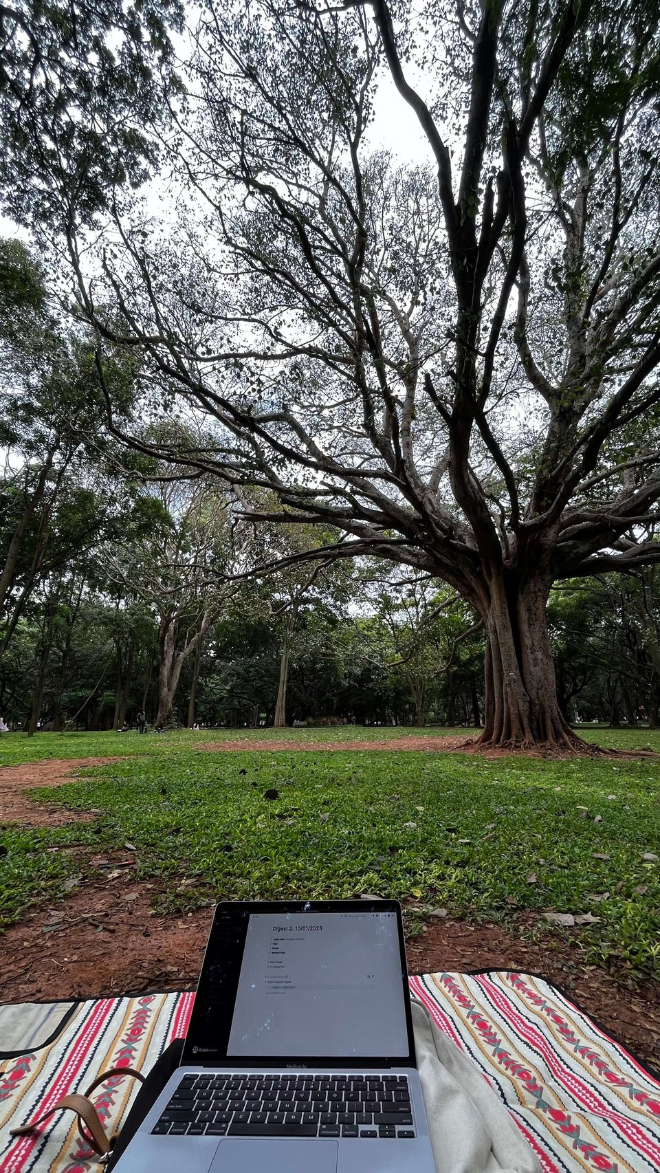 Me writing from a Park