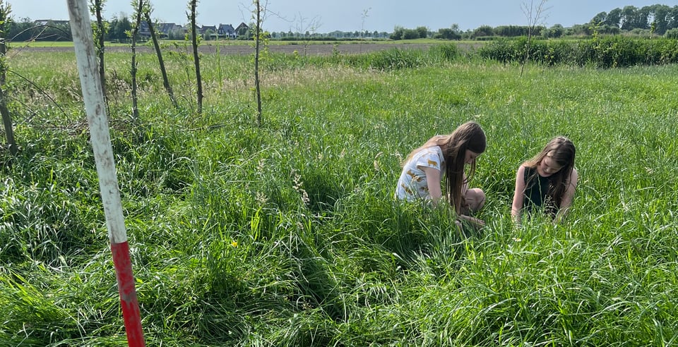 Biodiversiteitsmeting