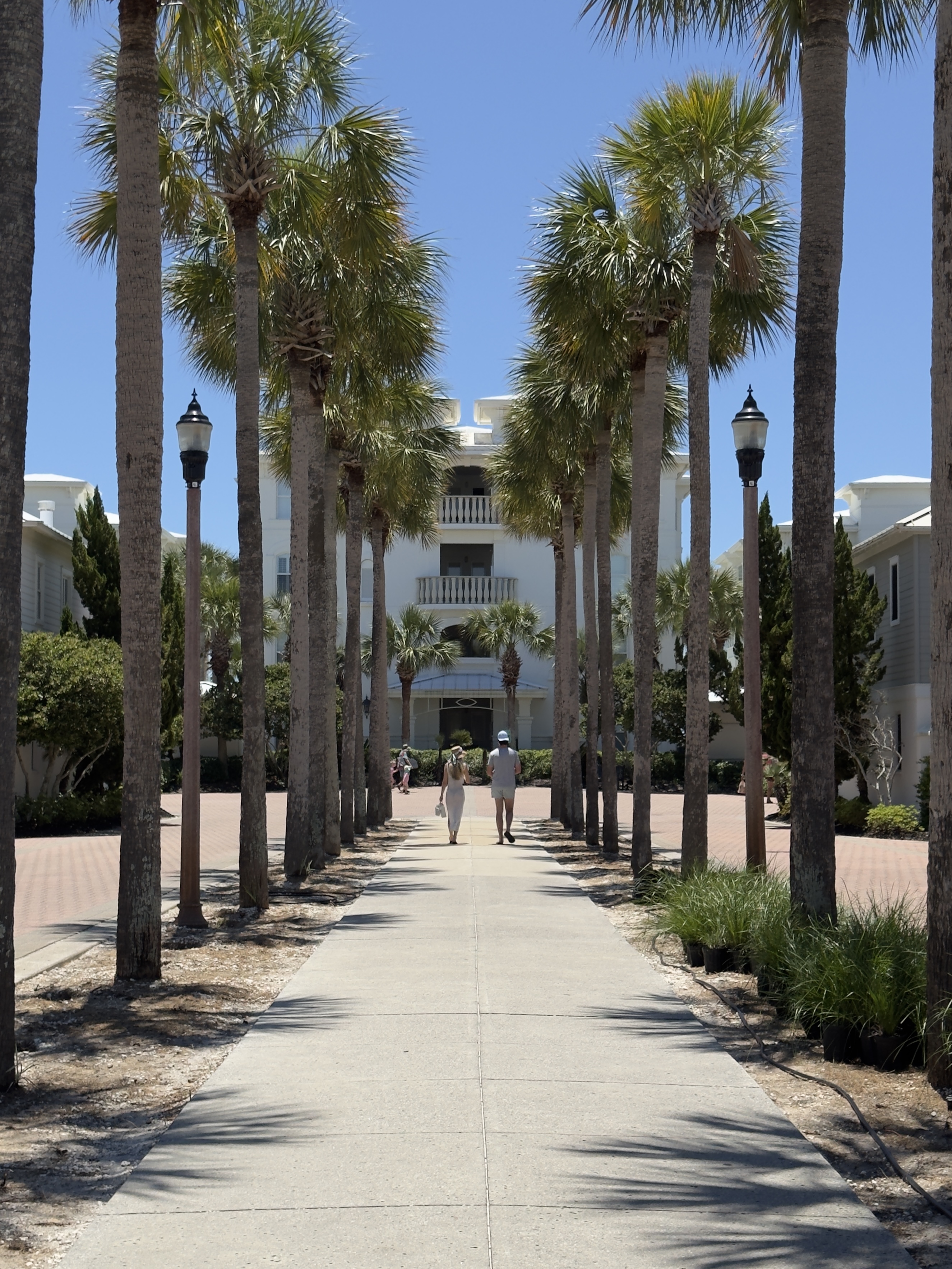Sidewalk lined with palm trees and 2 people walking toward white building