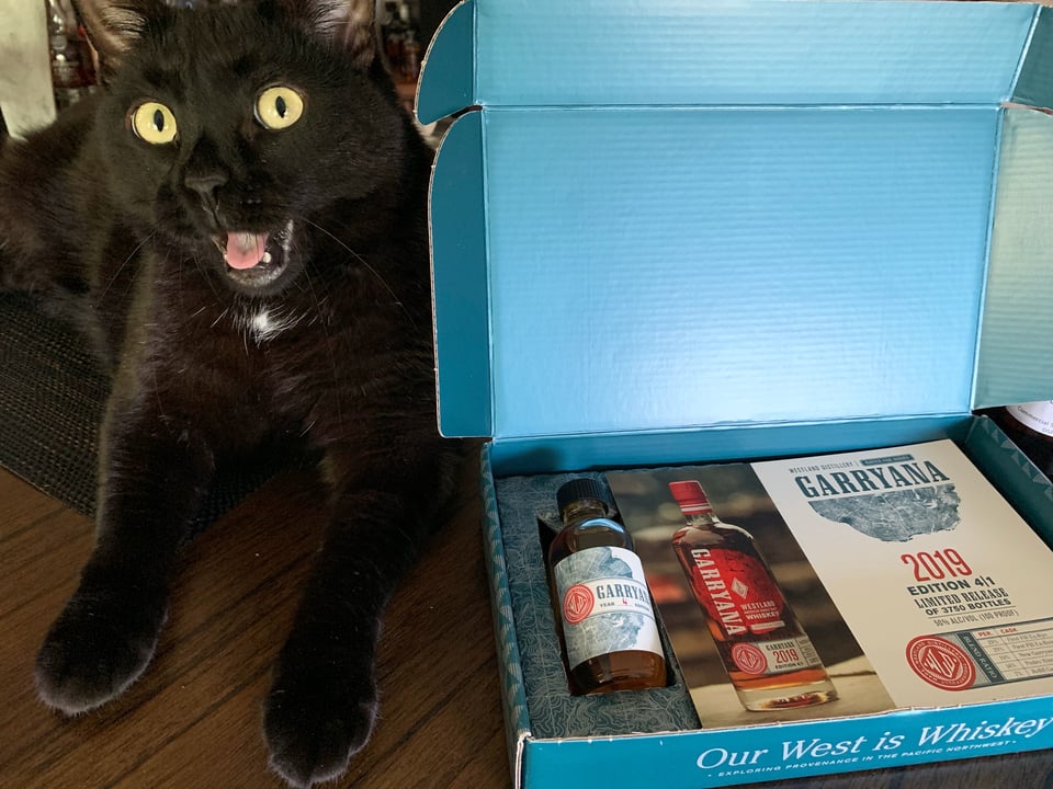 adorable black cat next to Westland whiskey Garryana 2019 sample bottle package