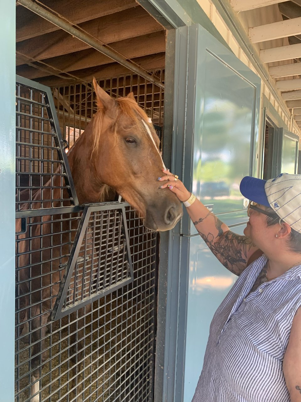the author kandace petting a tall, brown horse's snout