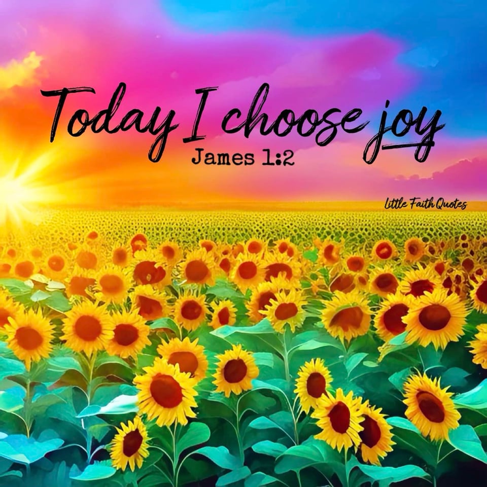 "Dear brothers and sisters, when troubles of any kind come your way, consider it an opportunity for great joy." ~James 1:2. Image by: @Little Faith Quotes.