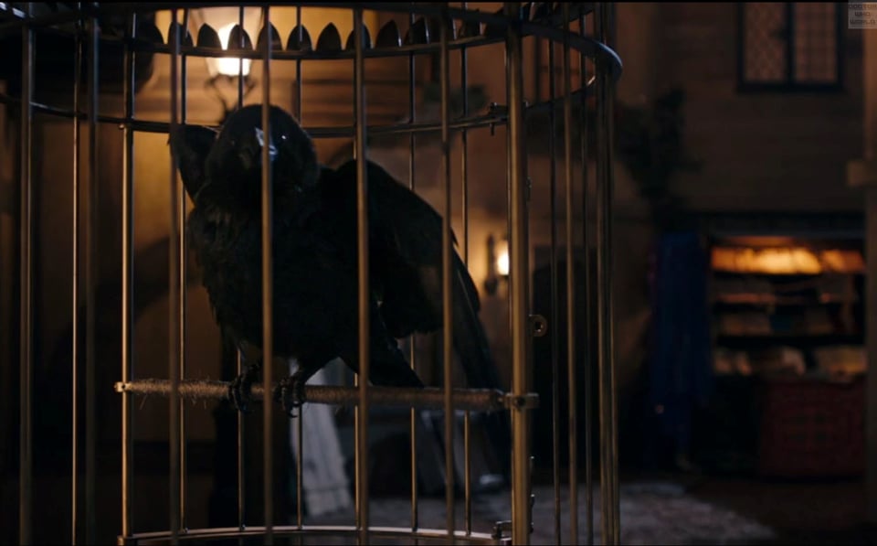 The raven! From Face the Raven! Caw!
