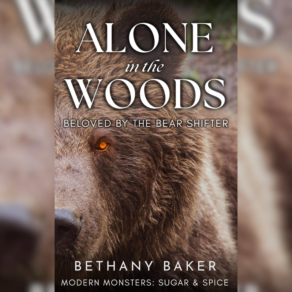 A close-up of the same cover described in the previous image.