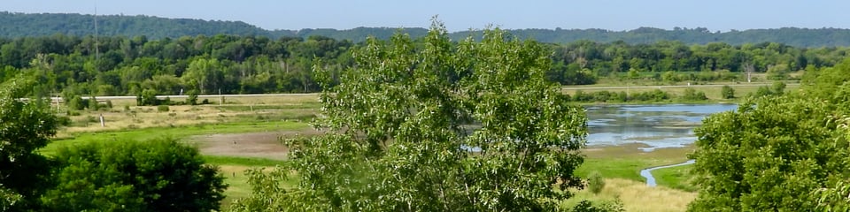 Overlook of Frontenac Pond. Note the extensive mudflats as the pond drains. July 2023. / Photo by Steve Dietz