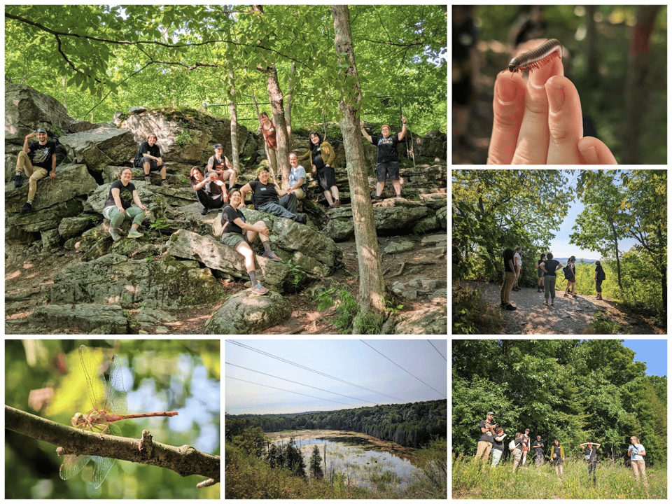 Some photos from our recent hike at Clark Reservation.
