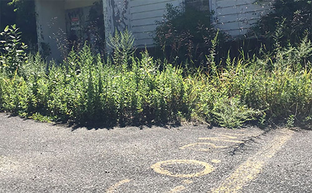 Read-Handed: Death fakers and crumbling prisons