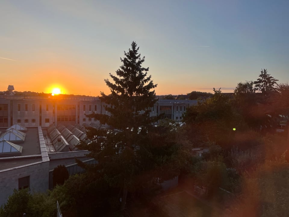 Sunrise over a low cityscape with pine trees in the foreground. Sunrise over a low cityscape with pine trees in the foreground.