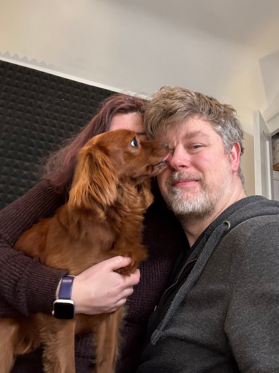 A cute dog licks me in the eye.