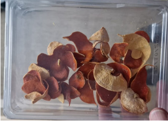 a clear plastic box with dried mandarin skins cut into shapes