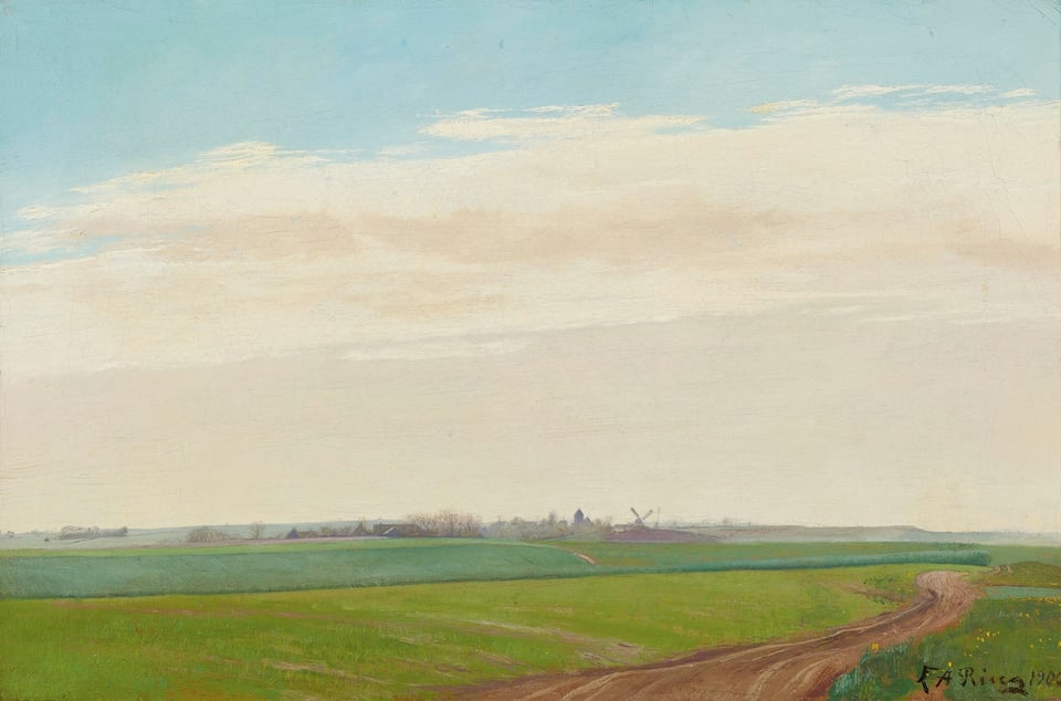A dirt road in a green field