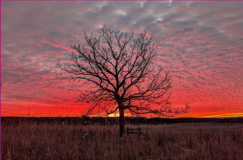 A November sunrise. Like the aurora, it’s a reminder that a major source of beauty in our park is … the sky. / Photo by Jake Gaster