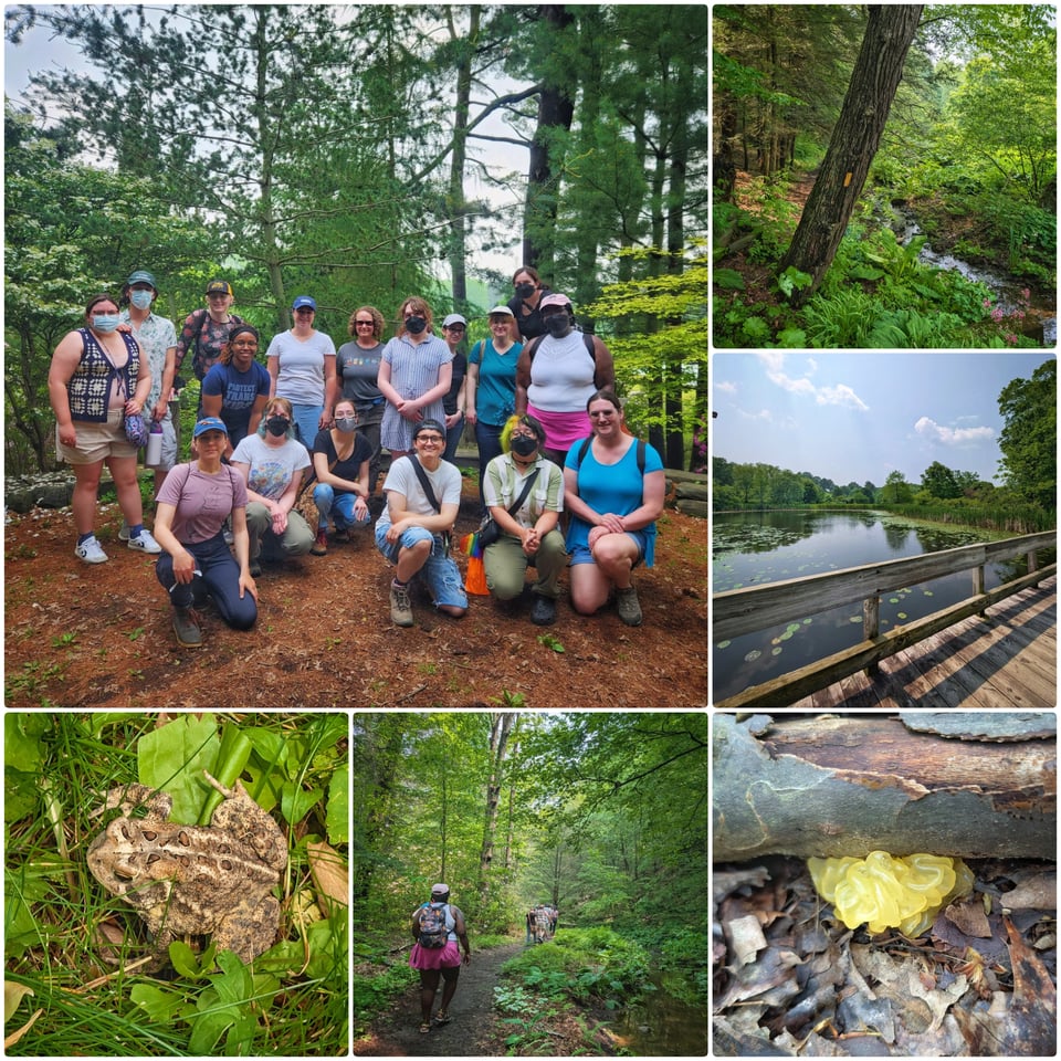 Photos from the Cornell Botanic Gardens Hike