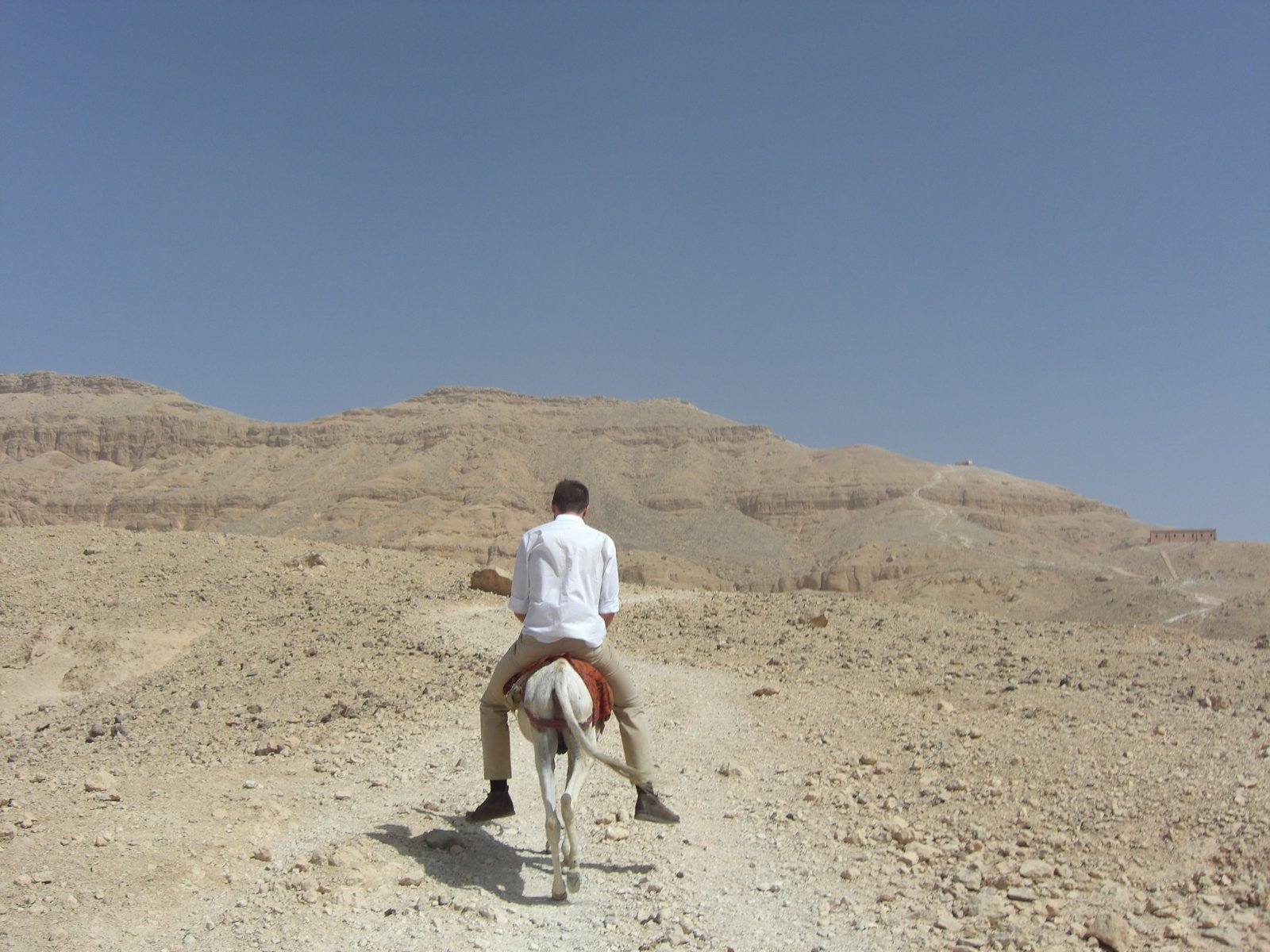 Riding a donkey up the rocky trail toward the ridgeline above the Valley of the Kings