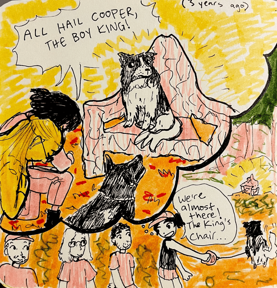 boy king coopie 1