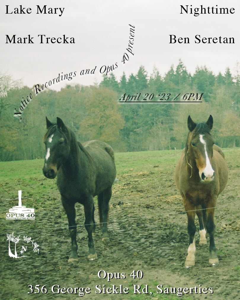 two horses shot at a dutch angle feature in a flyer for a concert at Opus 40 April 20th 2023 featuring Ben Seretan, Mark Trecka, Nighttime, and Lake Mary