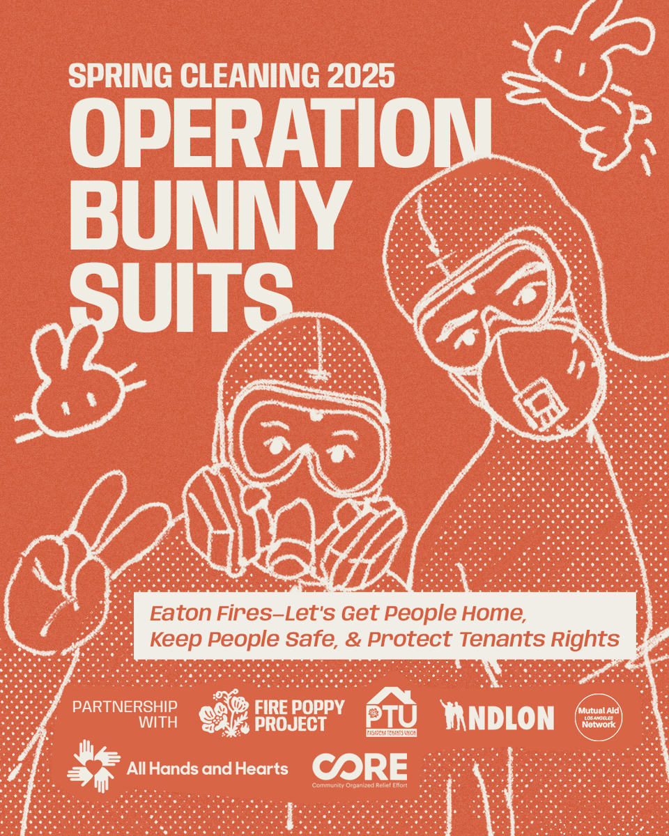 FPP_IG_SpringCleaning-BunnySuits_4x5_v2_1.png