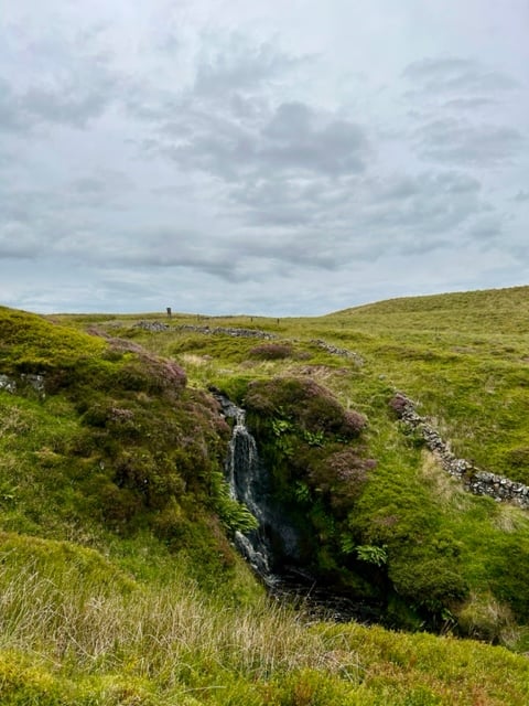Wild moorland in South West Scotland. A gushing waterfall courses down a cleft in the hillside. Wild blaeberries (bilberries) and lingonberries grow low to the ground. The sky is light grey with some mackerel clouds—the rain is coming in. Photo by Rowan Ambrose