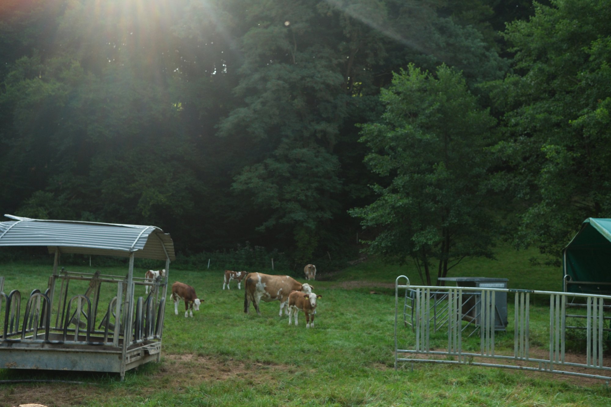 a recipe for friendship 008