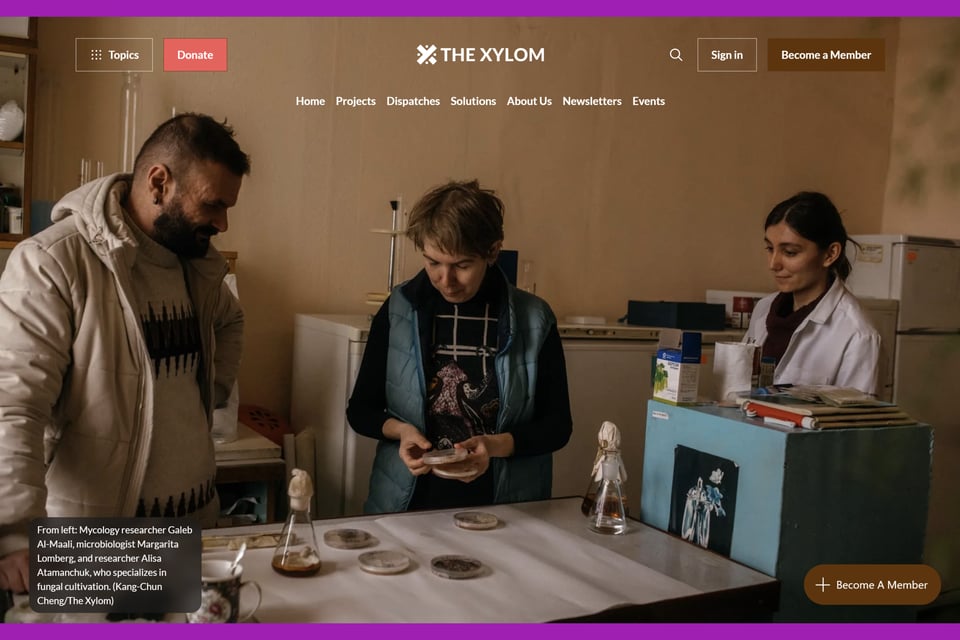 A Sneak Peek of Our Refreshed Site