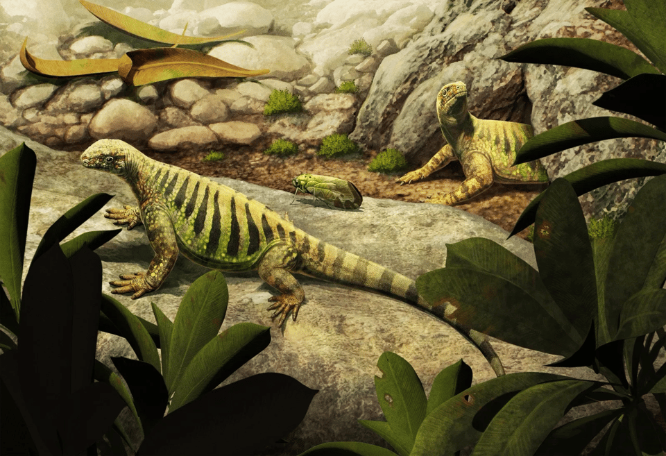 Paleoart of two lizard-like reptiles, squat and wide and green with black stripes. One is emerging from a burrow.