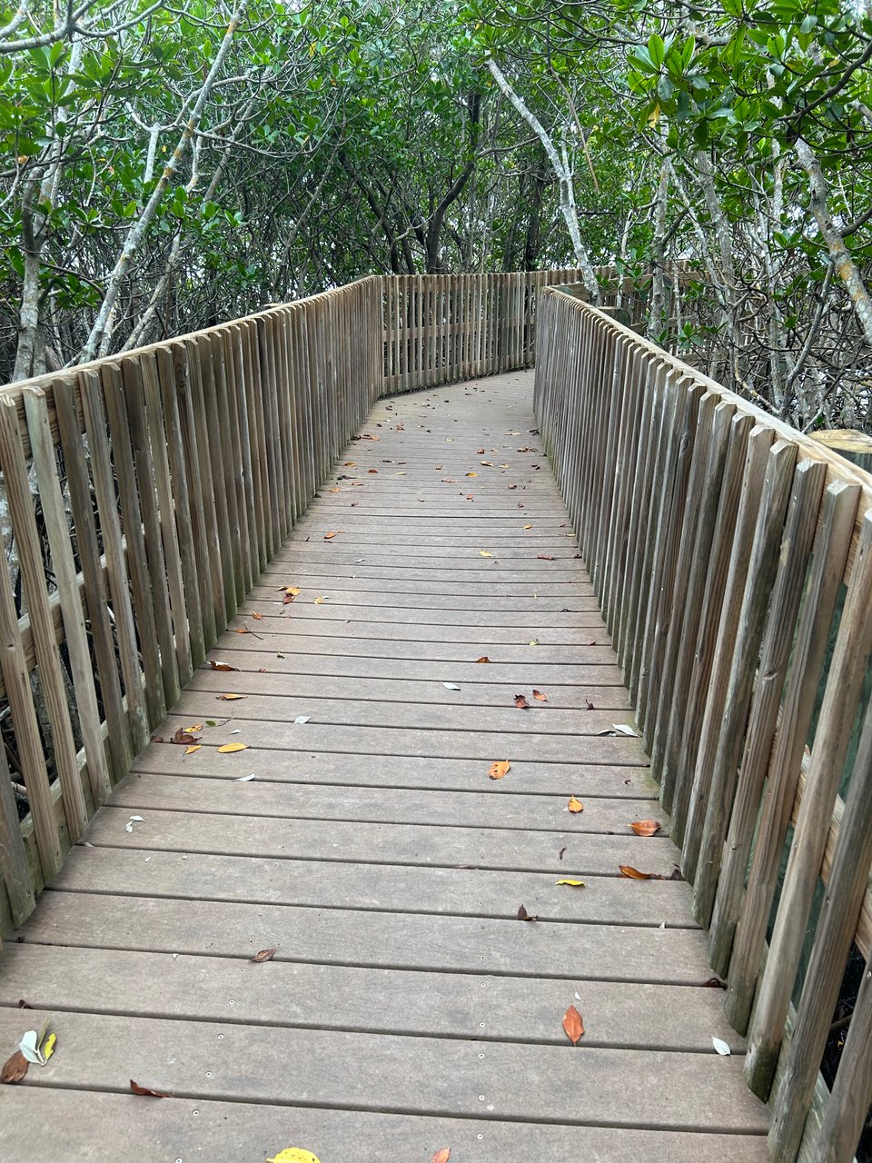 Reflection #51 The Toxic Myth of Hard Work