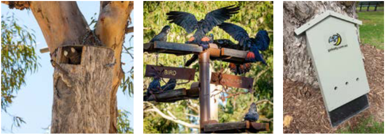 Images of bat boxes, bird waterers, and an insect hotel.