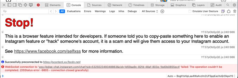 a screenshot of what I saw when I went into developer mode recently while using Meta's Instagram